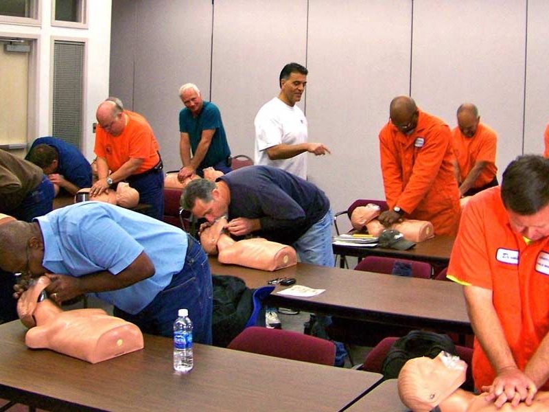 cpr for dummies instructors